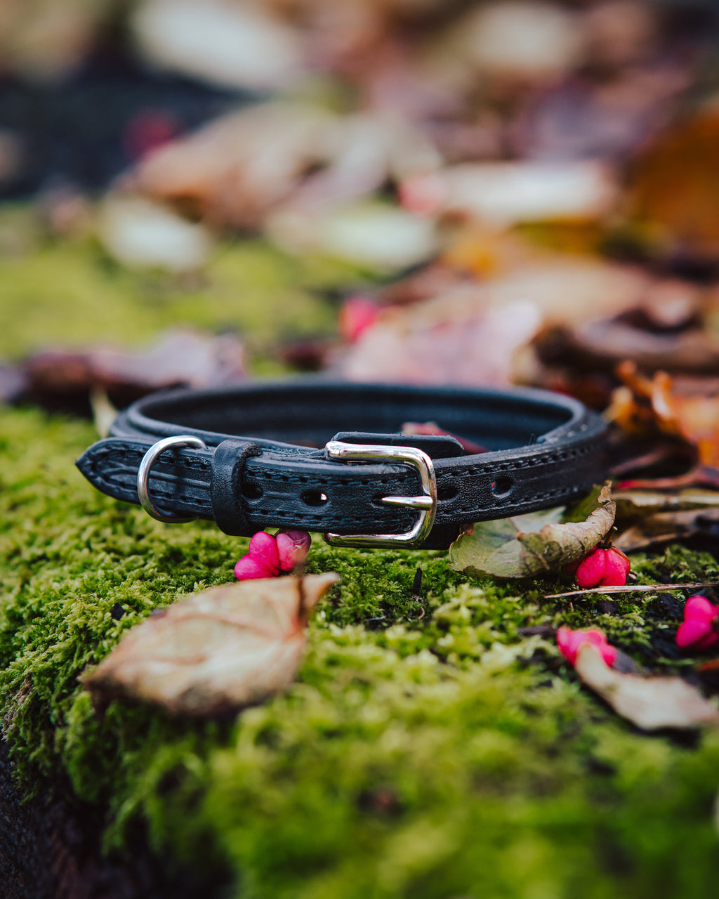 Hundehalsband - Classic