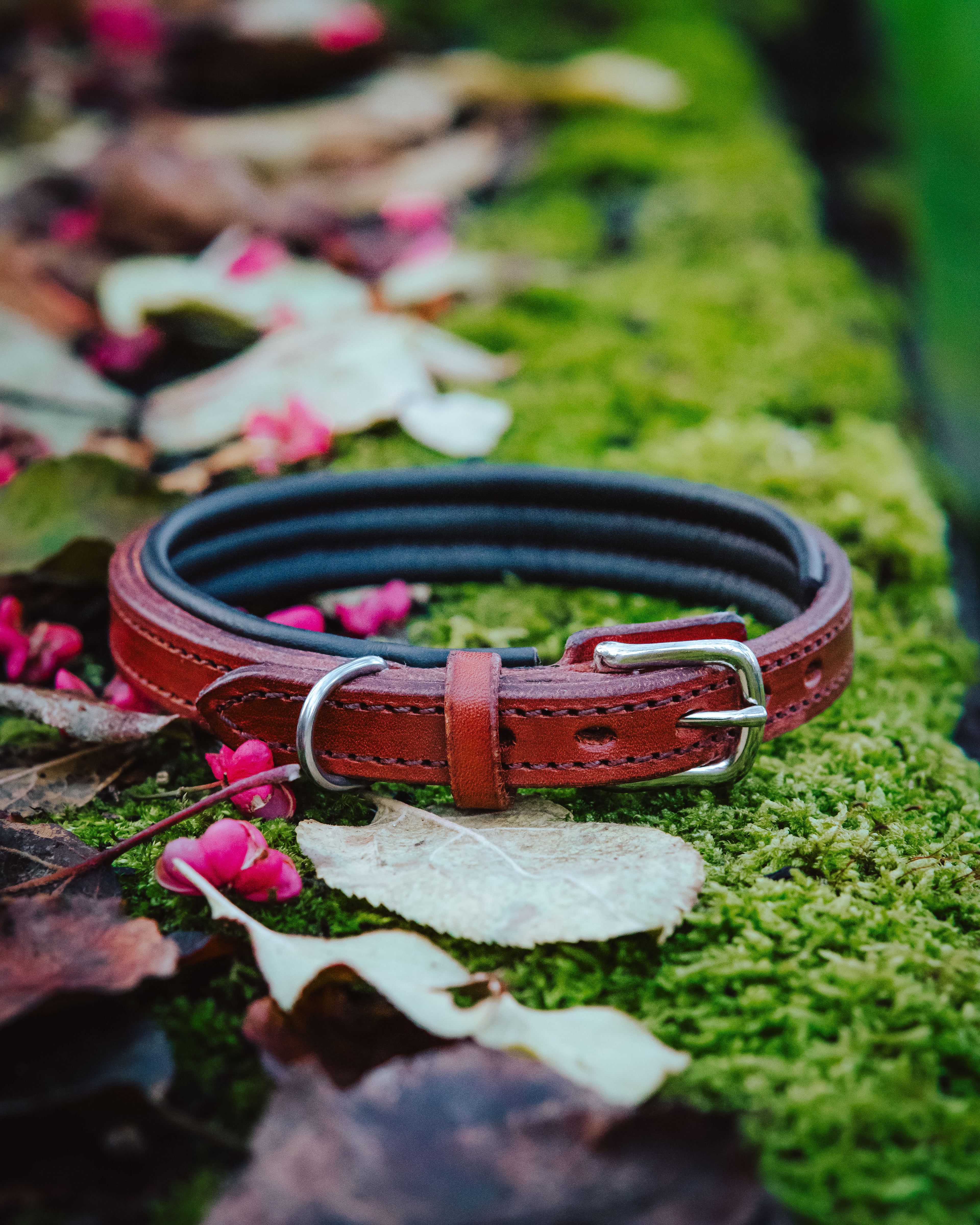 Hundehalsband - Classic