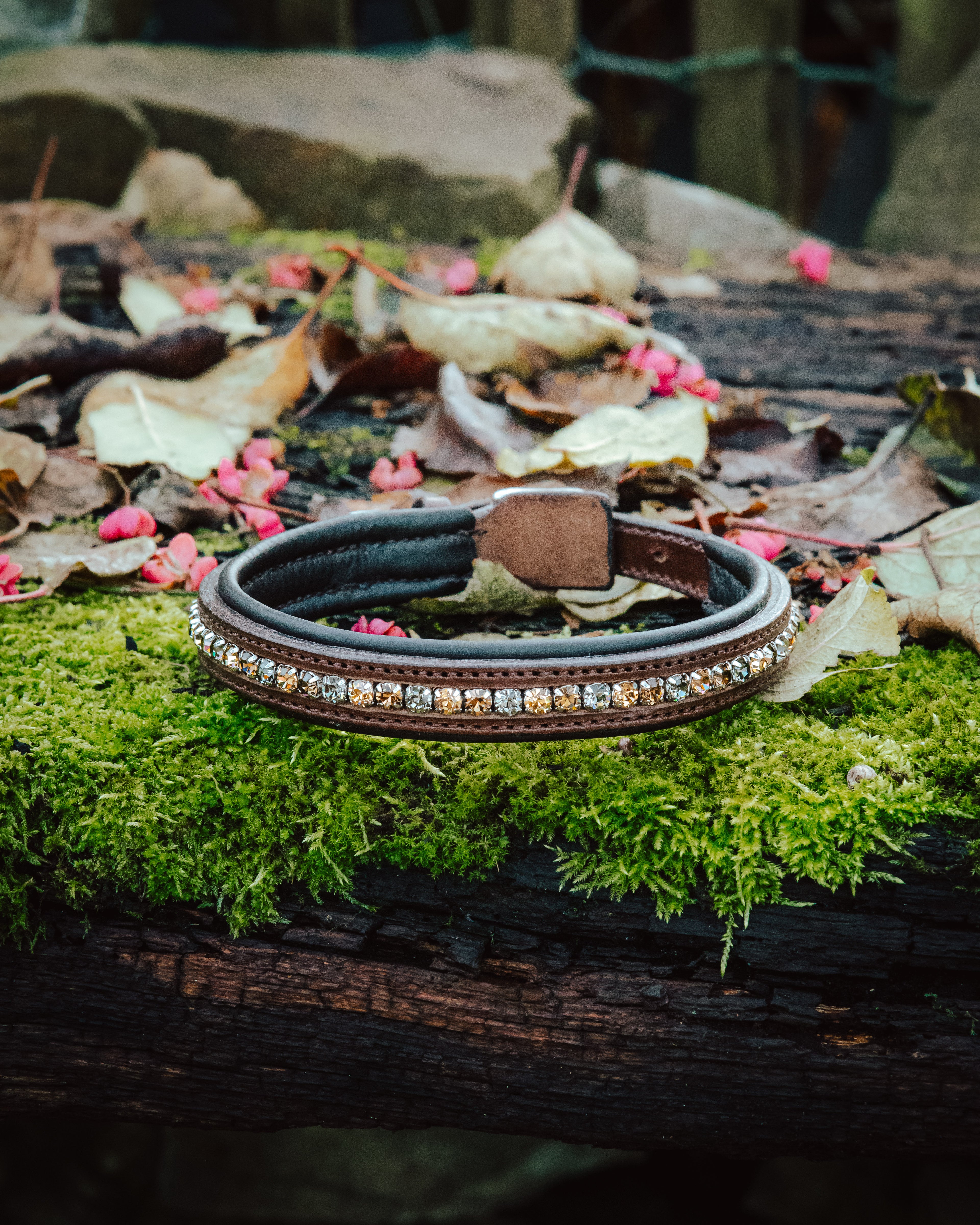 Hundehalsband - Strass