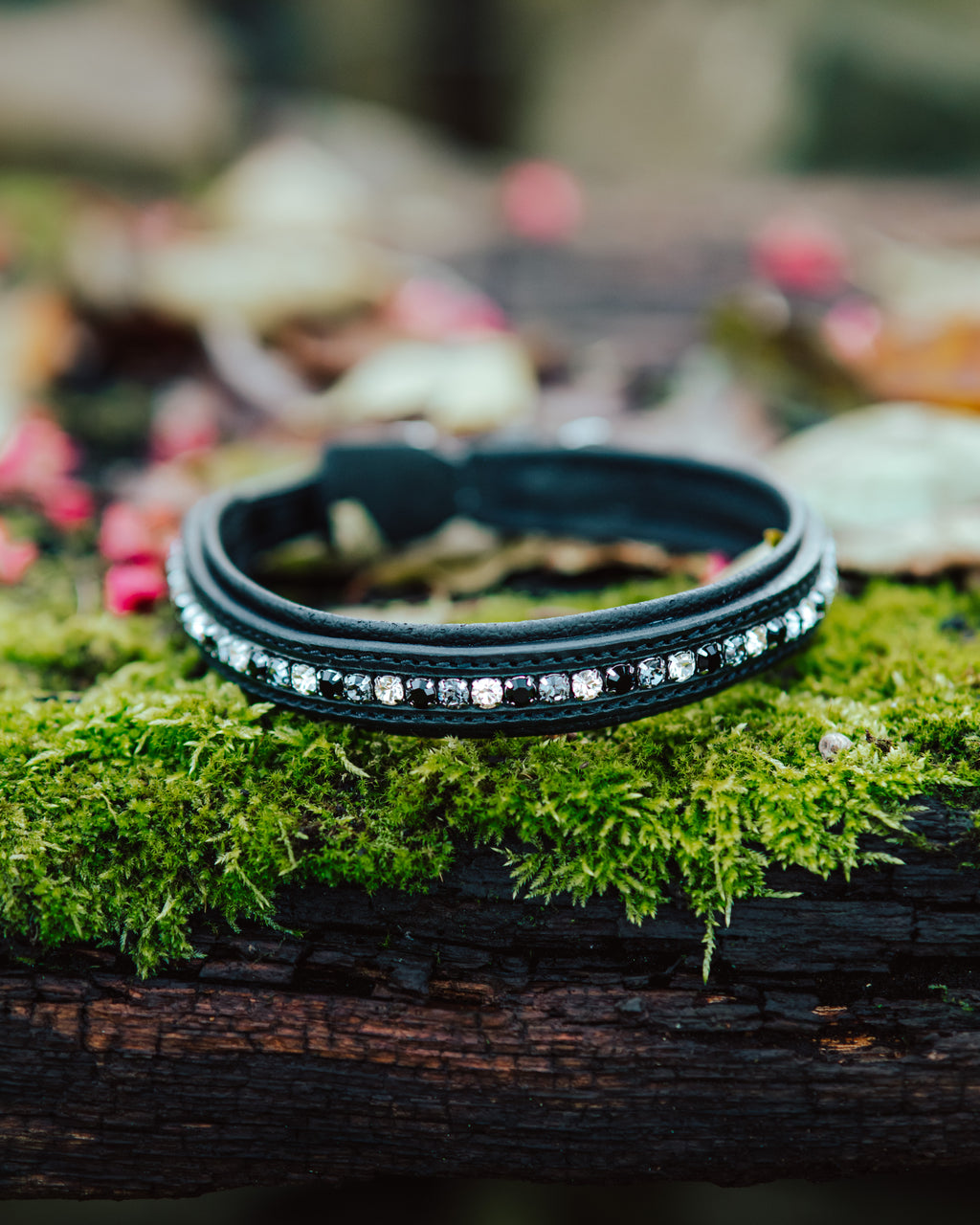 Hundehalsband - Strass