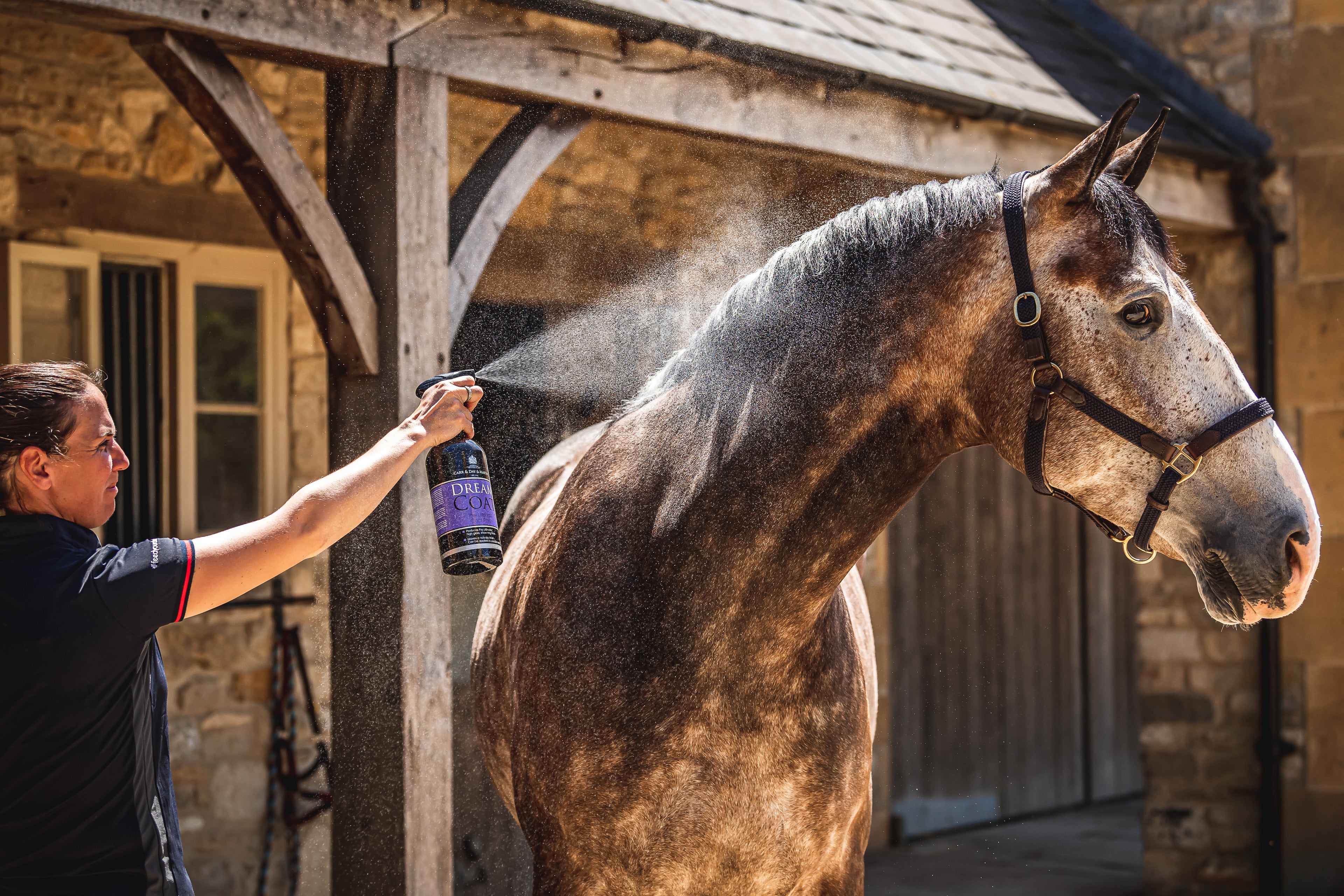 CARR & DAY & MARTIN Dreamcoat