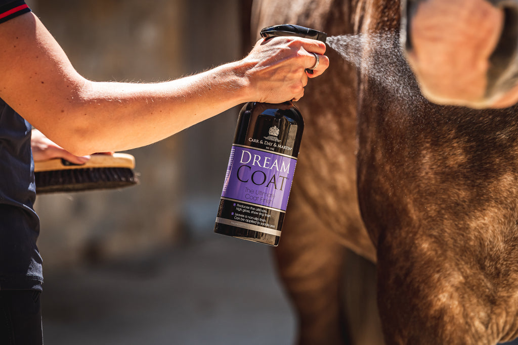 CARR & DAY & MARTIN Dreamcoat