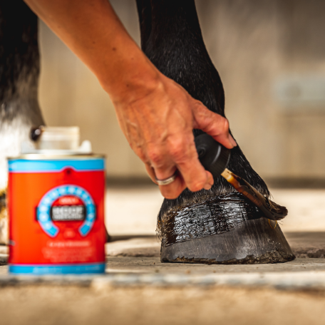 CARR & DAY & MARTIN Cornucrescine tägliche Hufpflege