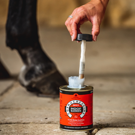 CARR & DAY & MARTIN Cornucrescine Hufschutz