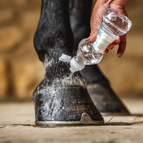 CARR & DAY & MARTIN Cornucrescine Hufschutz